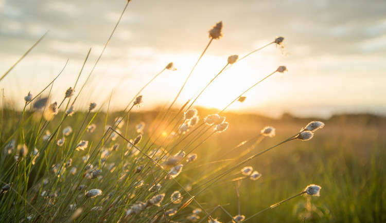 První polovina týdne bude spíše slunečná a teplá, na víkend se ale ochladí