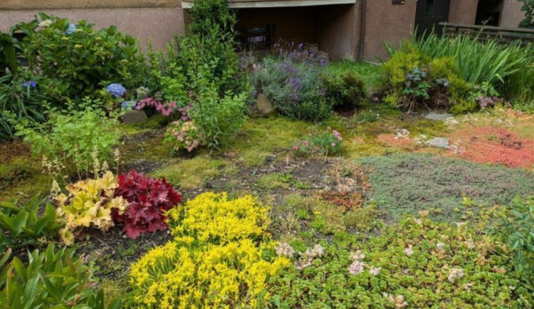 Nejlidnatější ostravský obvod Jih přispěje lidem na výsadbu okrasných rostlin