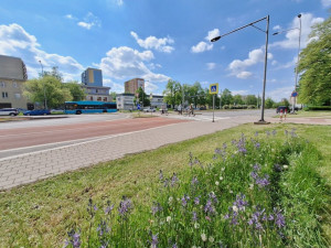 Dobrá zpráva pro cyklisty z Hrabůvky. Na ulici Dr. Martínka vznikne bezpečný přejezd