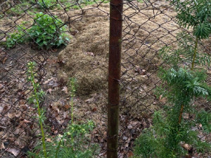 Takto vypadala aktivita zloděje