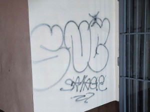 Dvojici sprejerů sledovala při jejich akci přes kamerový systém městská policie