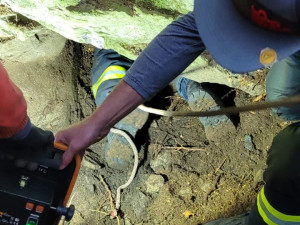 Zvídavá fena uvízla v jezevčí noře, hasiči se k ní prokopali a za nohy vytáhli ven