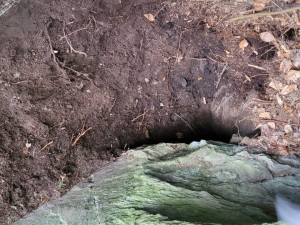 Zvídavá fena uvízla v jezevčí noře, hasiči se k ní prokopali a za nohy vytáhli ven