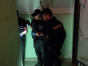 Policie se zaměřila na kontrolu cizinců. Během akce zjistila jen jednotky pochybení