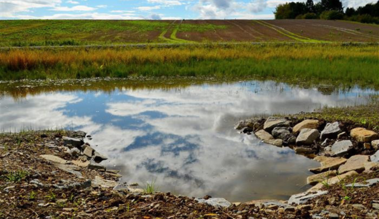 Ve Vyškově vznikne nový mokřad, který podpoří biodiverzitu u Lulečského potoka