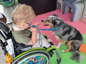 Lékaři mu dávali jen 90 dní života, dnes jsou Tedíkovi tři roky a dál statečně čelí vážné nemoci