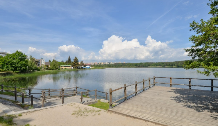 Dopuštěný Velký bolevecký rybník má před sezonou ideální vodu ke koupání