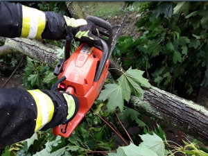 Moravskoslezští hasiči po bouřce odstraňovali spadlé stromy a čerpali vodu