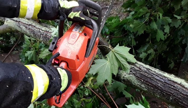 Moravskoslezští hasiči po bouřce odstraňovali spadlé stromy a čerpali vodu.