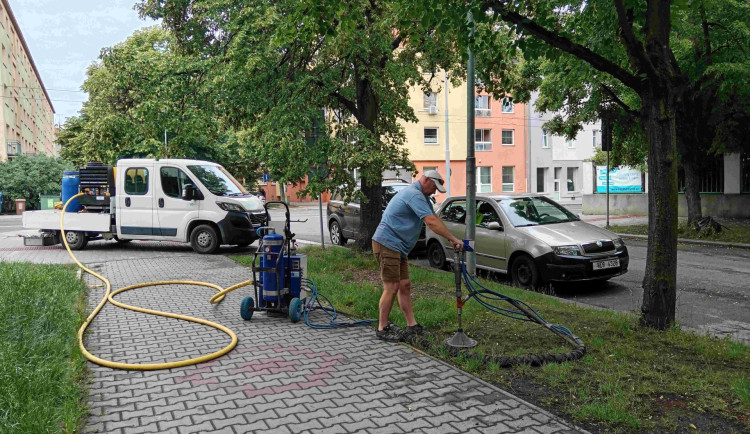 Rekonstrukce plynu dala vzrostlým lípám pořádně zabrat, teď dostaly dávku živin