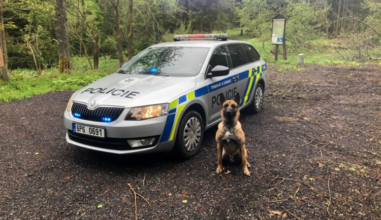 Policie pátrala po muži, který zmizel v podhůří Šumavy. Rodina se bála o jeho život