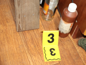 Vedle desítek lesních požárů je muž obviněn z vraždy a z pokusu o vraždu osmi bezdomovců