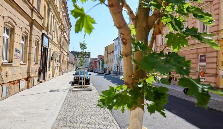 Asfalt nahradila žula a přibyly i stromy, Purkyňova ulice prošla proměnou