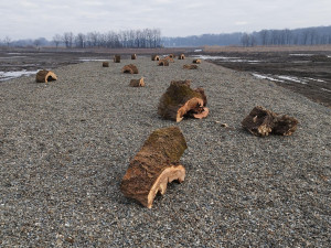 Ptačí úkryty na štěrkové části ostrova