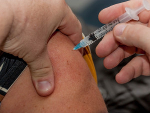 Epidemie žloutenky v Moravskoslezském kraji trvá, počet případů stagnuje