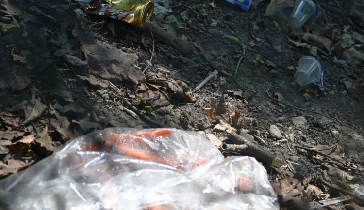 Zapařený pytel mrkve, stříkačka i plechovky. Papírenský park znovu zaplňují odpadky