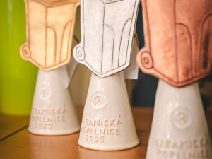 Lidé v Moravskoslezském kraji třídí rok od roku lépe. Nejlepší je Kopřivnice