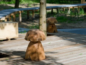FOTO: Relax v Ostravě i pro děti. Podívejte se na nové místo s mokřady a tůněmi