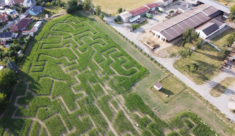 Hanácké bistro a kukuřičný labyrint jako bonus. Zemědělci v Unčovicích chystají lákavou novinku