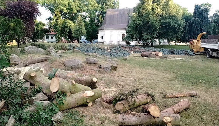 Ze Smetanových sadů v rámci revitalizace zmizely jehličnany, Jihlavany rozsah kácení šokoval