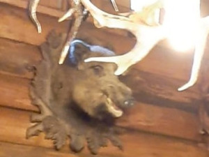 Bratři, jak se patří. Policie zadržela dva nezaměstnané, kradli na Opavsku