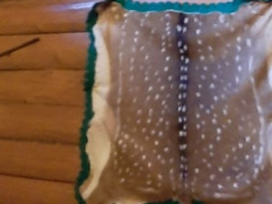 Bratři, jak se patří. Policie zadržela dva nezaměstnané, kradli na Opavsku