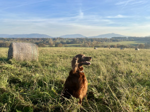 Vodohospodáři za 60 milionů korun modernizují dva vodojemy na Frýdecko-Místecku