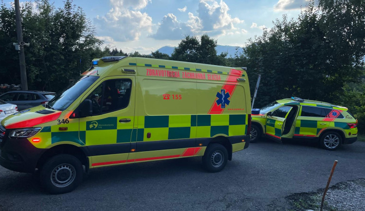 Záchranáři pomohli muži, který měl po bodnutí sršněm do hlavy alergickou reakci. Foto: Se svolením ZZS MSK