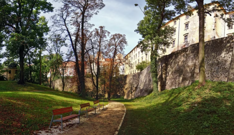 Jaký vliv má zeleň na lidi, zkoumají vědci. Ve městě každopádně snižuje teplotu
