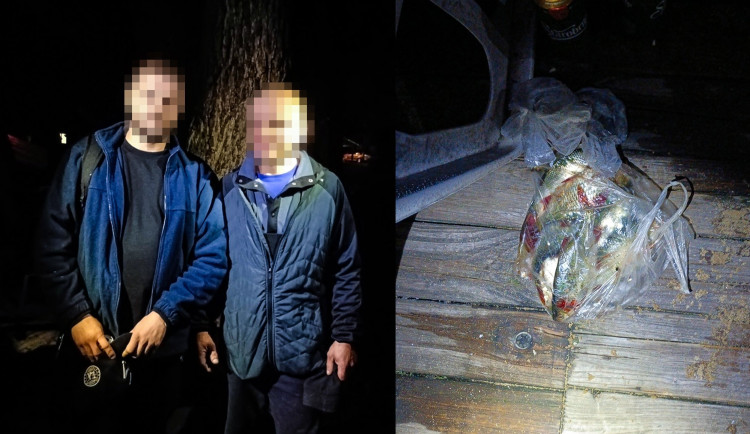 Cizinci pytlačili v noci u rybníka. Tvrdili, že jen relaxují s pivem na lehátkách a k prutům se neznali