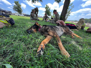 Mise týmu českých hasičů v Texasu končí. V ČR přistanou ve středu ráno