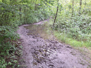 Halda Ema je pro turisty schůdnější, města do úprav dalo přes 7,5 milionu korun