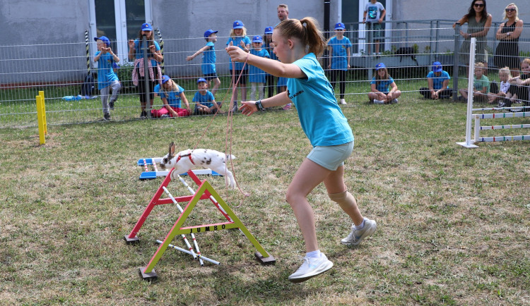 Obvod vytvořil hřiště pro králíky, budou tam i pravidelné lekce s trenérkou