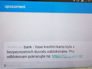 Moravskoslezští policisté odhalili phishingové podvody za 2,5 milionu korun