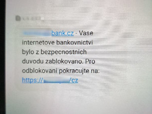 Moravskoslezští policisté odhalili phishingové podvody za 2,5 milionu korun