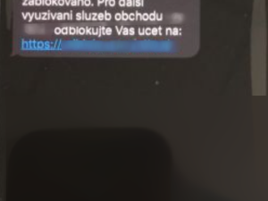 Moravskoslezští policisté odhalili phishingové podvody za 2,5 milionu korun