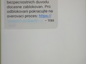 Moravskoslezští policisté odhalili phishingové podvody za 2,5 milionu korun