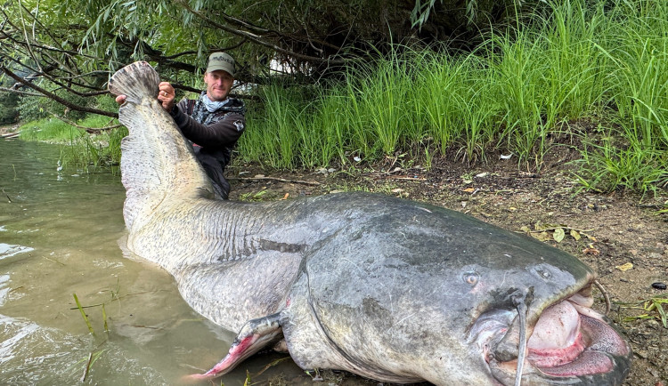 VIDEO: Rybář Vágner ulovil na Vranově masivního sumce. Skočil za ním šipku do vody