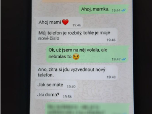 Podvodníci se vydávají za děti a okrádají důvěřivé. Policie eviduje desítky případů