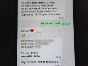 Podvodníci se vydávají za děti a okrádají důvěřivé. Policie eviduje desítky případů