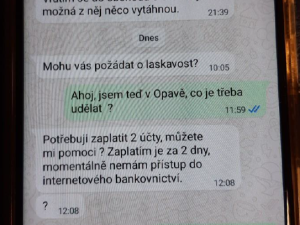 Podvodníci se vydávají za děti a okrádají důvěřivé. Policie eviduje desítky případů