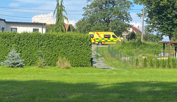 Ilustrační fotografie