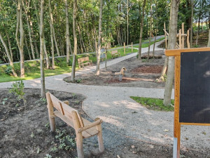 V Hošťálkovicích otevřeli první lesní hřiště s přírodními prvky