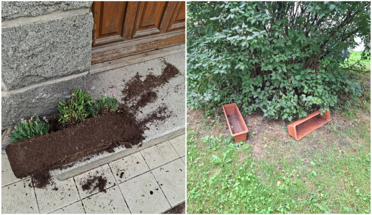 Záhada mizejících květináčů. Vandalové rozhazují rostliny po okolí a nosí lidem cizí truhlíky