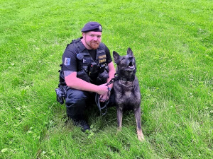 Pes Rey v Orlové pomohl objasnit vloupání. Policisty dovedl až k lupičům