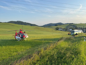 Autobus sjel ze silnice kvůli indispozici řidiče, cestující vyvázli bez zranění