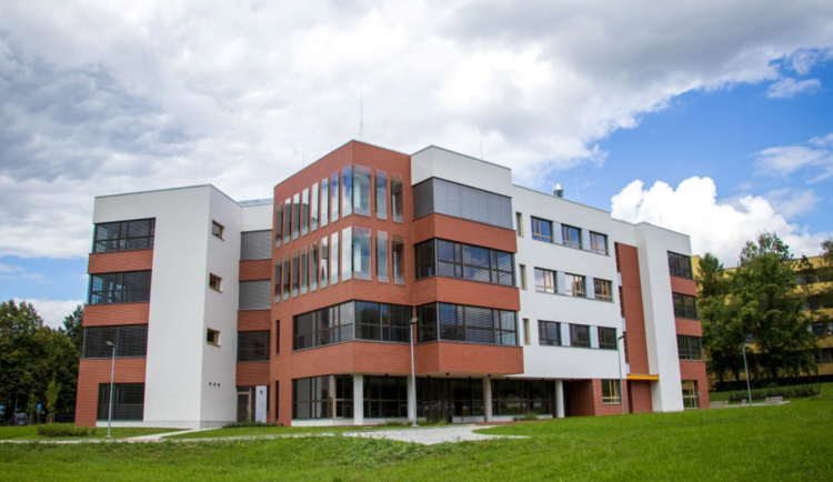 Snímek obrazovky 2025-08-13 173556