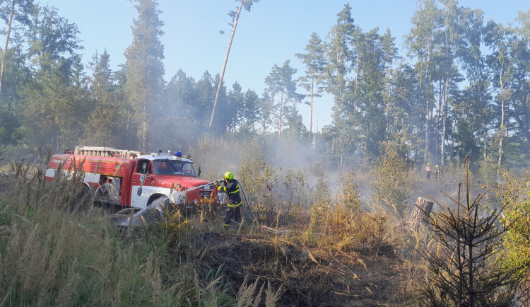 Další lesní požár. Hořelo nedaleko Máchova jezera