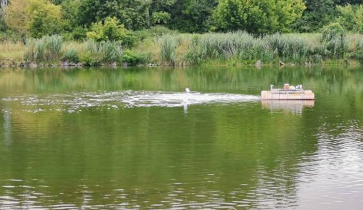 Kvůli vedru hrozí na jihomoravských řekách a nádržích úhyn ryb, pomáhá prokysličení