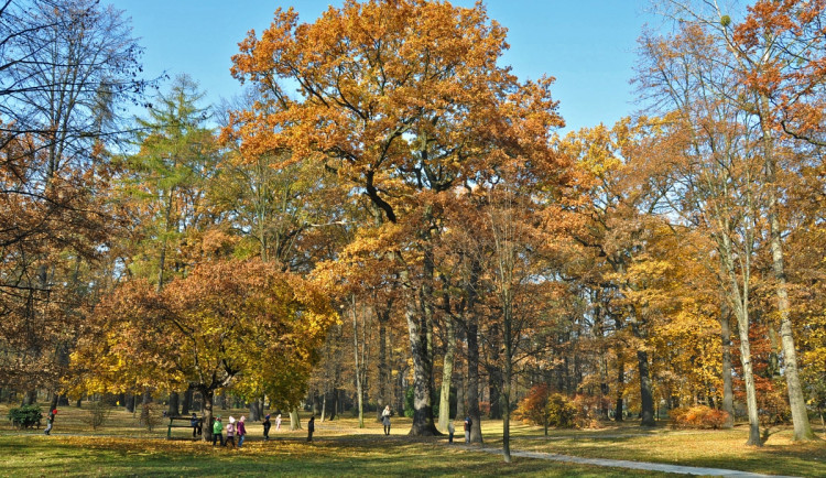 Park Petra Bezruče v Bohumíně čeká regenerace za téměř osm milionů. Foto: Se svolením města Bohumín